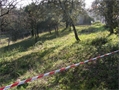 Photo numero 46971166 du bien UBI468535466